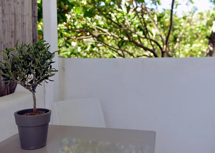 Flora's Mykonos Daire *